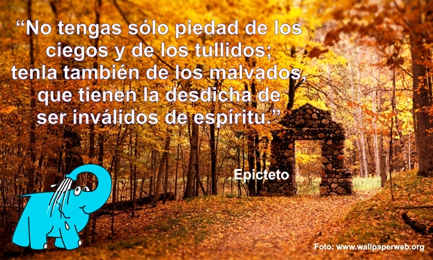 Una Enseñanza de Epicteto sobre La Compasión, en La Frase del Día del Centro de lavado de coches Elefante Azul de Avilés